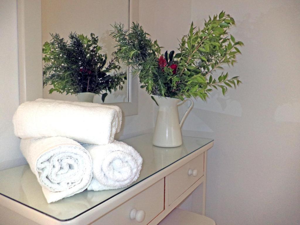 Dendrolivano Minia Habitación foto