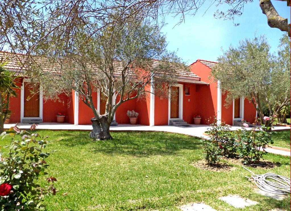 Dendrolivano Minia Habitación foto